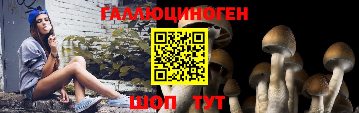 Семёнов  Галлюциногенные грибы Psilocybe  купить наркоту  Вход с VPN 